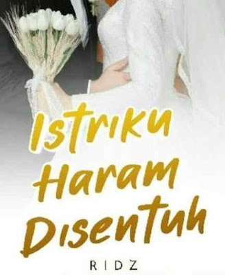 Novel Istriku Haram Disentuh Karya Ridz Full Episode