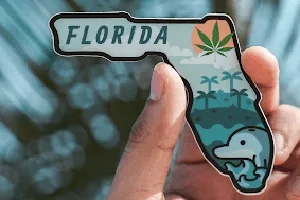 A palm with a Florida State symbol