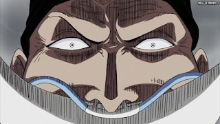 ワンピース アニメ 316話 白ひげ | ONE PIECE Episode 316 Water 7