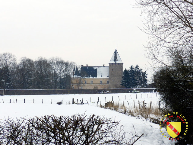 Fléville-les-Nancy - Château enneigé
