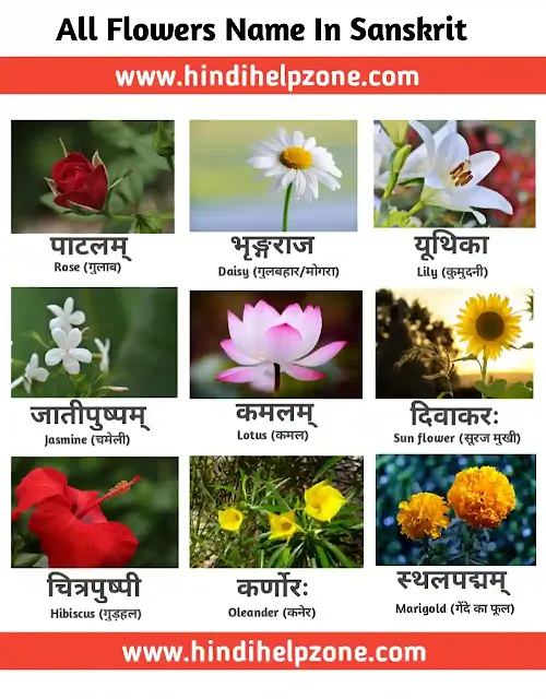 Flowers Name in Sanskrit