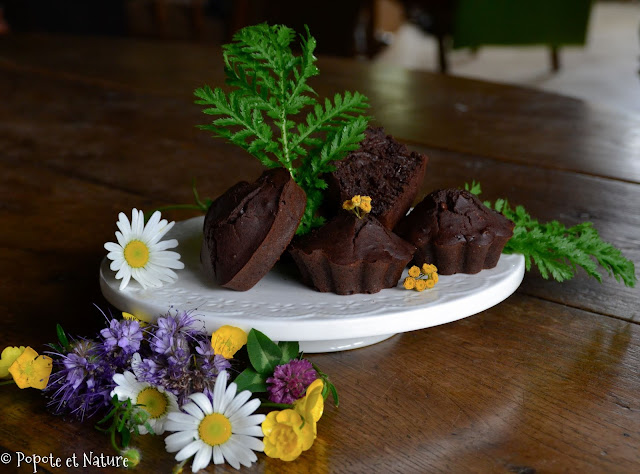 Muffins au chocolat parfumés à la tanaisie - IG bas © Popote et Nature