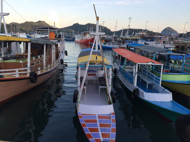  yaitu project terbaru saya perihal kisah perjalanan saya dimasa kemudian dan masa depan yang SALAH JALUR TREKKING DI PULAU PADAR - PULAU DENGAN TUJUH MATAHARI