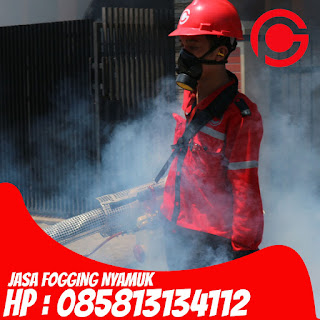 Hub : 085813134112 Jasa Fogging Nyamuk di Bekasi Selatan