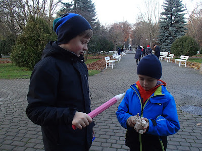 wiewiórki w parku zdrojowym