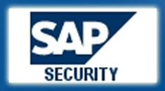 Errores de Seguridad SAP