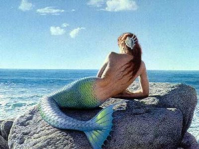 Mermaids Body  on Mermaids