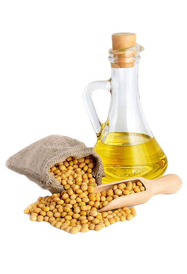 The Largest Soybean Oil Producers in the World