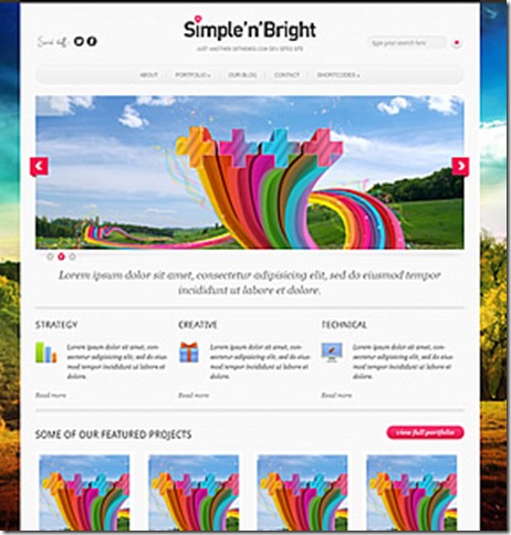 Simple’n'Bright _ free premium wordpress theme