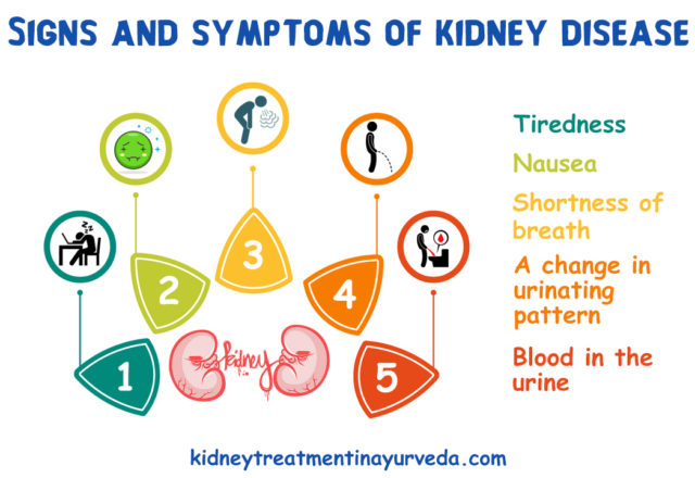 The most common causes of Kidney Failure are uncontrolled diabetes and high blood pressure levels