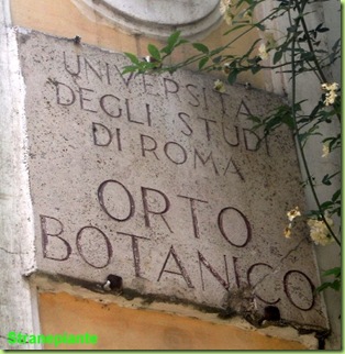targa orto botanico roma