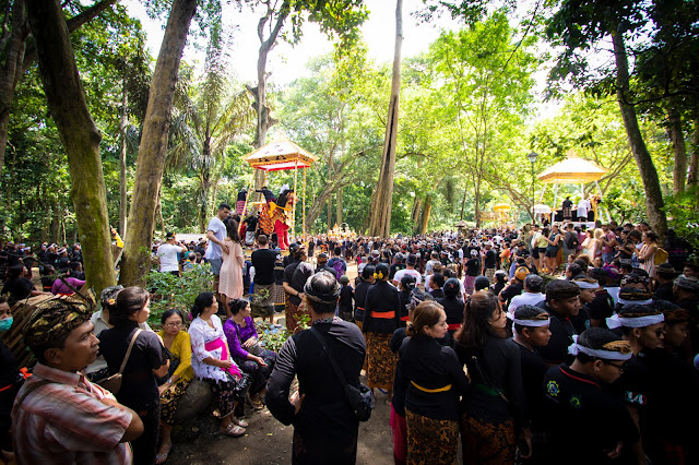 Cerimonia cremazione nella Monkey Forest, Ubud-Bali