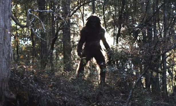 Ex-Soldier Claims Bigfoot Might Be Transdimensional Being