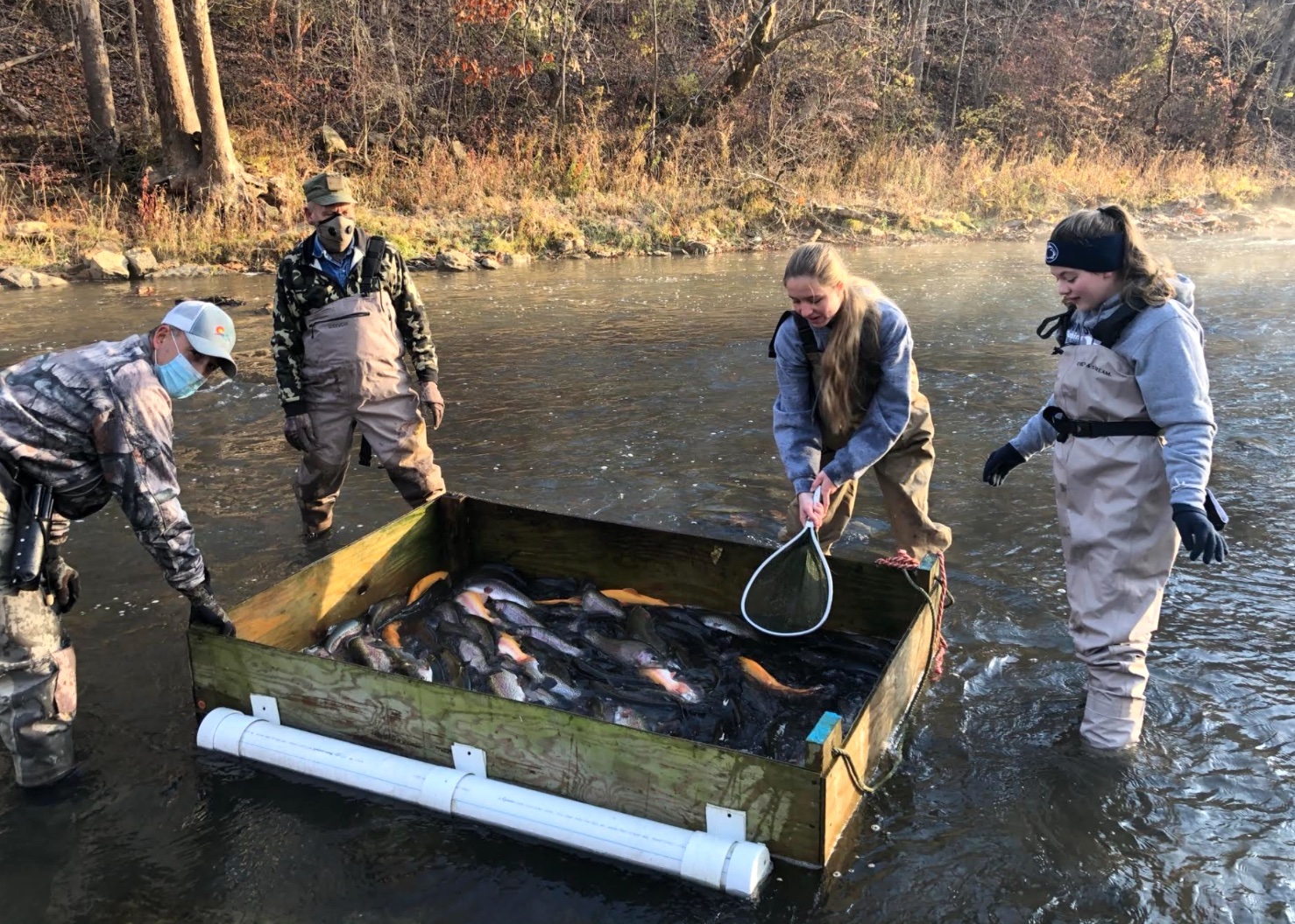 PA Environment Digest Blog: Trout Stocking On Ten Mile Creek In Greene  County With Izaak Walton League Members