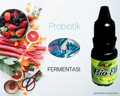 Probiotik Makanan dan Minuman Baik Bagi Kesehatan