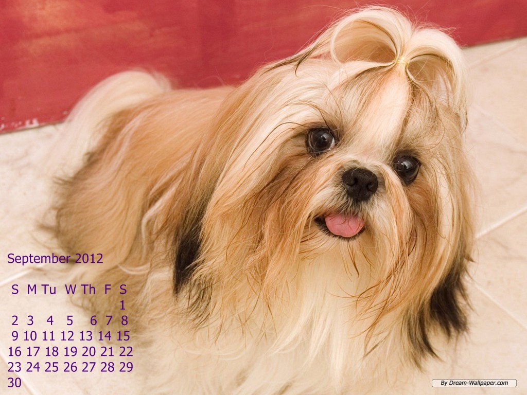 Imagini Desktop Poze Wallpapers: Calendar 2012 pentru desktop