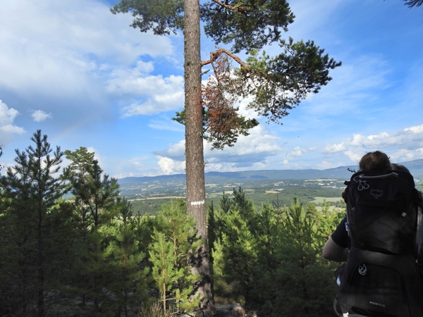 sopptur hagakollen lerbergshøgda nordengaberget