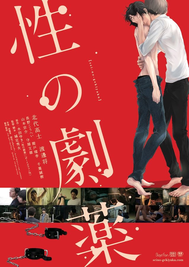  Dangerous Drugs of Sex / Sei no Gekiyaku (2020) Full HD watch online