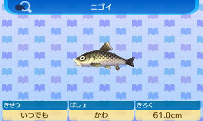 とびだせ どうぶつの森 ニゴイ
