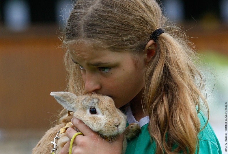 rabbit-hoping-6 rabbit-hoping-6