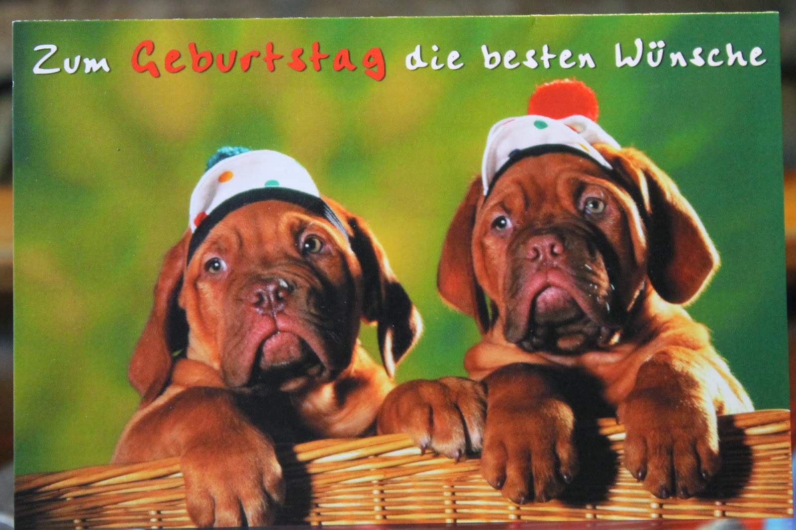 glückwünsche geburtstag mitarbeiter