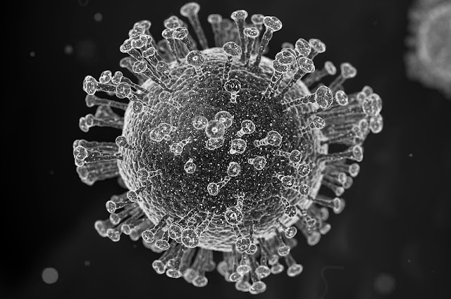 India is fighting strongly against Coronavirus