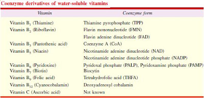 Nutrition Biochemistry Vitamin B Complex