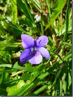 P1020280
