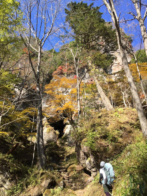 庚申山荘付近の登山道