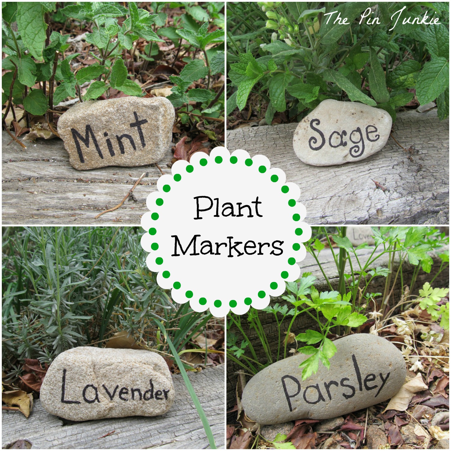 painted rock garden markers