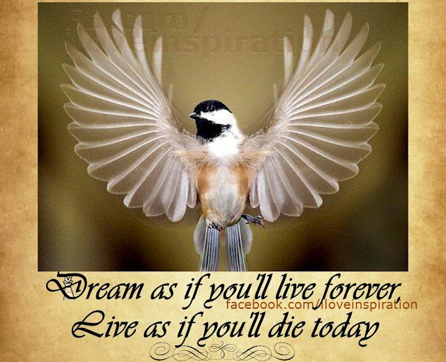 Dream Forever, Live today