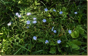 P1270251