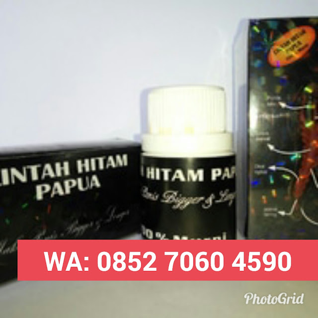 Agen Minyak Lintah Hitam Papua Asli Jakarta