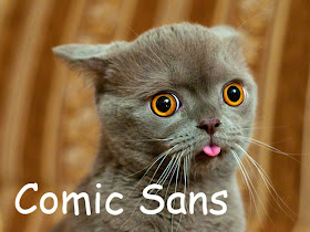 Cats and Fonts - Funny Pics
