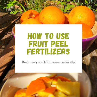 How to make fruit peel fertilizer