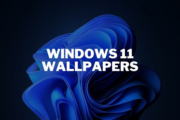 windows 11 wallpapers