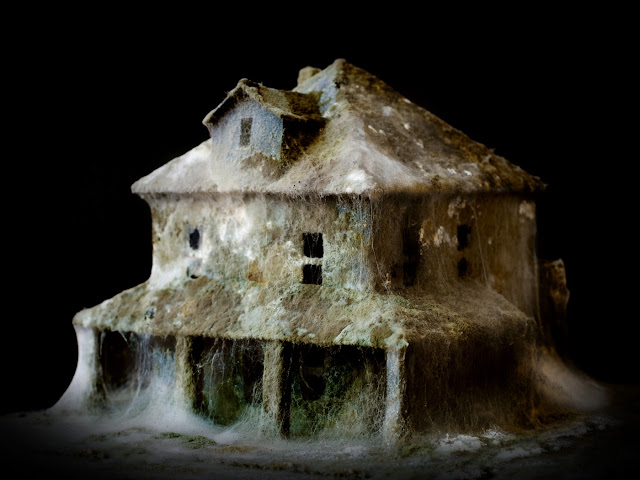 mold house visual effects daniele del nero art