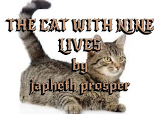 THE CAT WITH NINE LIVES  by japheth prosper image