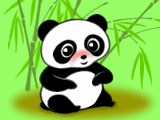 Kumpulan 50 Gambar Animasi Panda  Bergerak Unik Lucu dan 