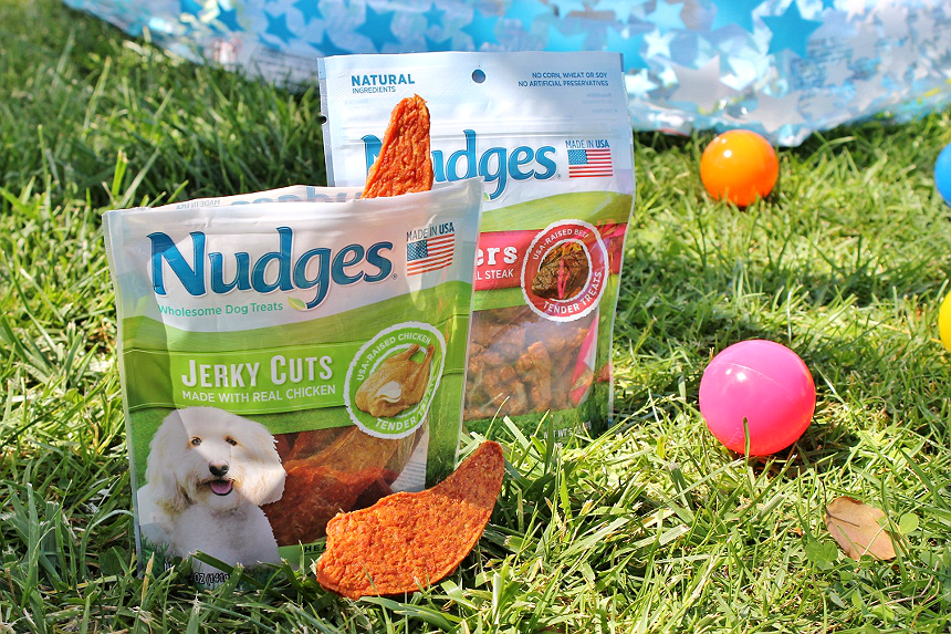 This Summer #NudgeThemBack with a DIY Ball Pit and wholesome, made in the U.S.A, Nudges® dog treats from Walmart. #AD