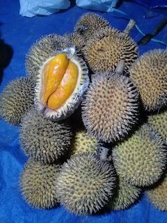 buah papakin berwarna oranye