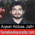 https://humaliwalaazadar.blogspot.com/2019/08/aqeel-abbas-jafri-nohay-2020.html