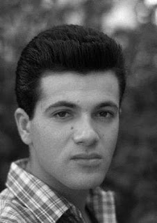 Men's Fashion Haircut Styles With Image Tommy Sands Classic Bouffant Hairstyle Picture 6