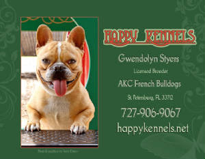 French bulldog puppies for sale