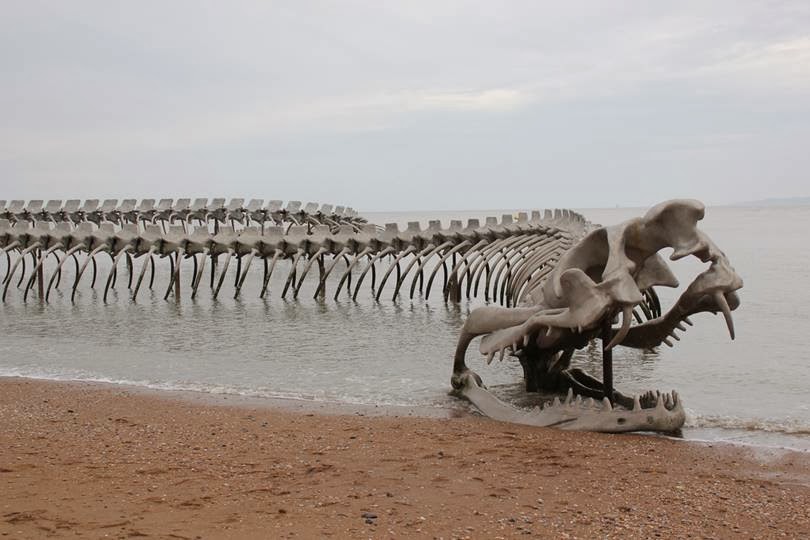 Serpent d’Océan | A Massive Metal Sea Serpent Skeleton on a Beach in France