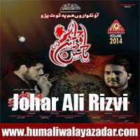 http://ishqehaider.blogspot.com/2013/11/muqadas-kazmi-nohay-2014.html