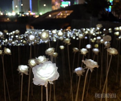 Dongdaemun Design Plaza LED rose garden at night