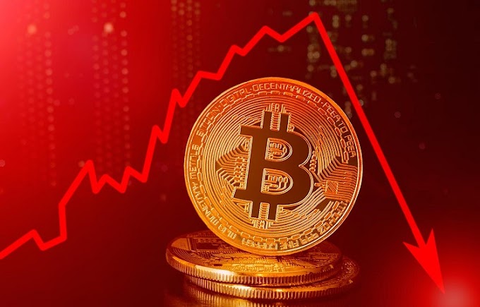 Bitcoin Price Falls 55% From Its High 2022