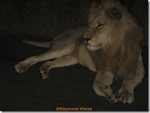 Africa 009