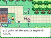 Pokemon Split Screenshot 01